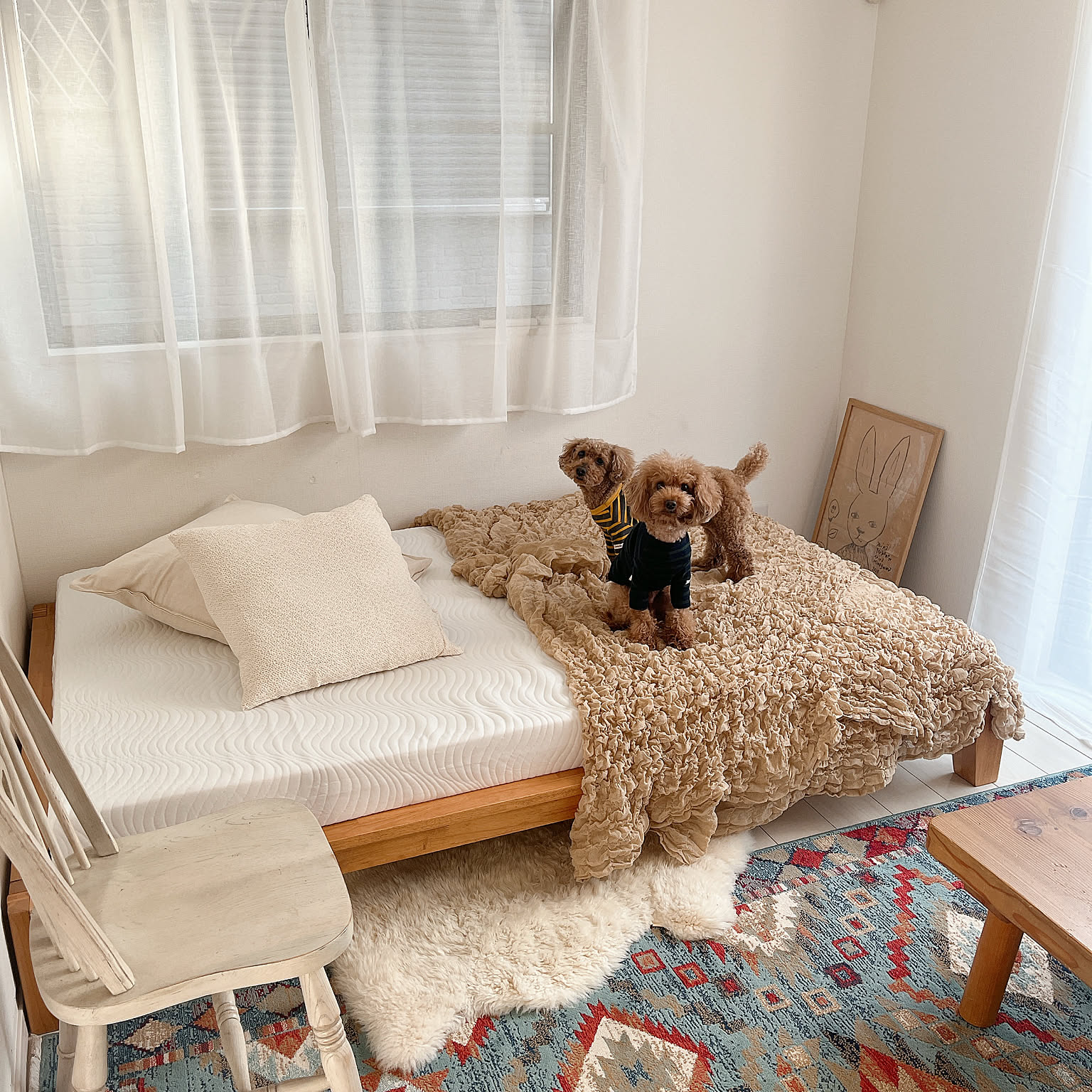 RoomClip/cocoa/Room No.1614049