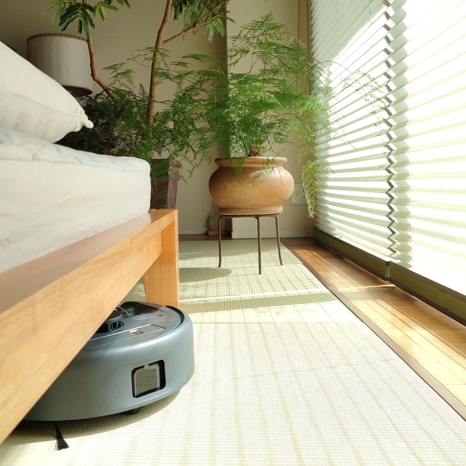 RoomClip/hana/Room No.4208563